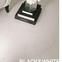 11 Line Black And White Reproduction Of Marble By Leonardo Ceramica